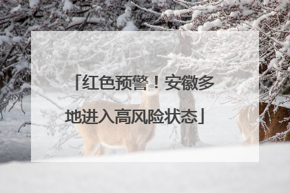 红色预警！安徽多地进入高风险状态