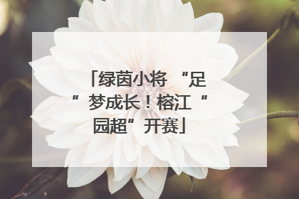 绿茵小将 “足”梦成长！榕江“园超”开赛