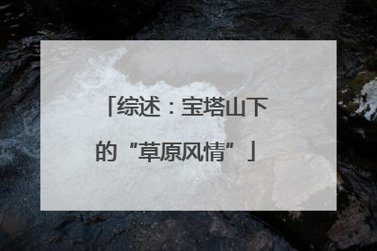 综述：宝塔山下的“草原风情”