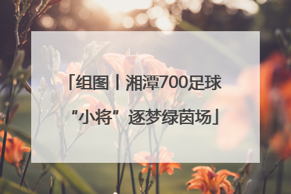 组图丨湘潭700足球“小将”逐梦绿茵场