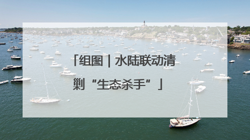 组图｜水陆联动清剿“生态杀手”