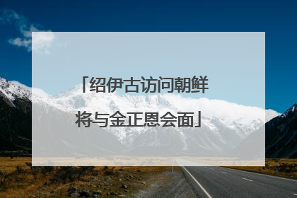 绍伊古访问朝鲜 将与金正恩会面