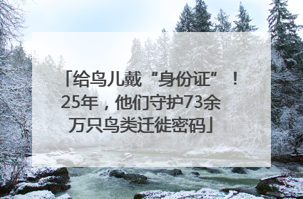 给鸟儿戴“身份证”！25年，他们守护73余万只鸟类迁徙密码
