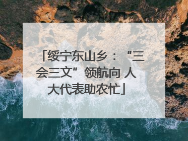 绥宁东山乡：“三会三文”领航向 人大代表助农忙