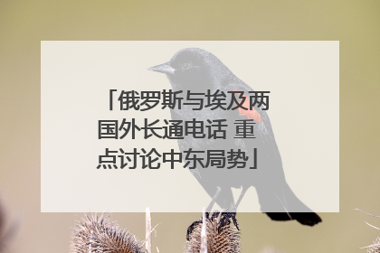 俄罗斯与埃及两国外长通电话 重点讨论中东局势