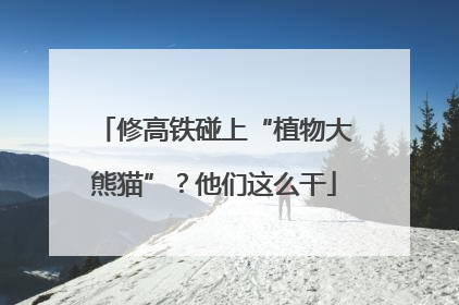 修高铁碰上“植物大熊猫”？他们这么干