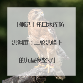 侧记丨托口水库防洪调度：三轮洪峰下的九昼夜坚守