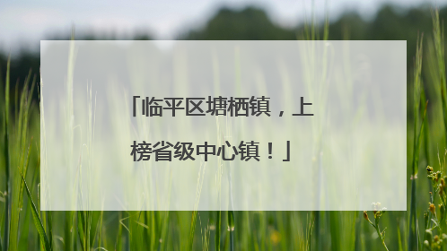 临平区塘栖镇，上榜省级中心镇！