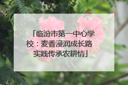 临汾市第一中心学校：麦香浸润成长路 实践传承农耕情