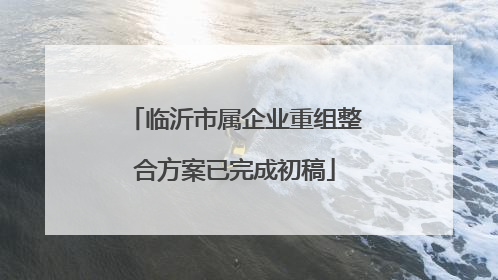 临沂市属企业重组整合方案已完成初稿