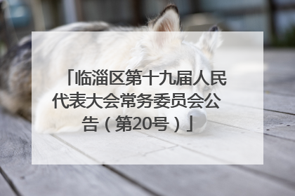 临淄区第十九届人民代表大会常务委员会公告（第20号）