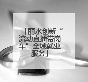丽水创新“流动直播带岗车”全域就业服务