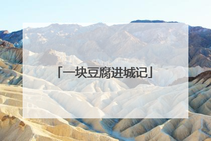 一块豆腐进城记