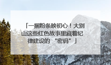 一捆粉条映初心！大别山这些红色故事里藏着纪律建设的 “密码”