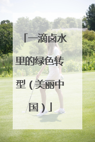 一滴卤水里的绿色转型（美丽中国）