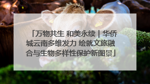 万物共生 和美永续｜华侨城云南多维发力 绘就文旅融合与生物多样性保护新图景