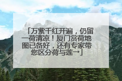 万紫千红开遍，仍留一荷清凉！厦门赏荷地图已备好，还有专家带您区分荷与莲→
