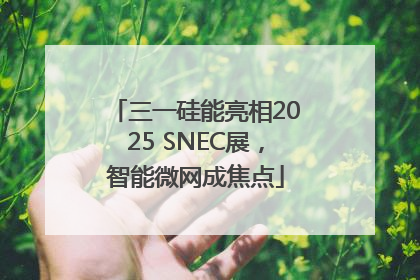 三一硅能亮相2025 SNEC展，智能微网成焦点