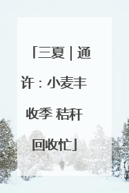 三夏｜通许：小麦丰收季 秸秆回收忙