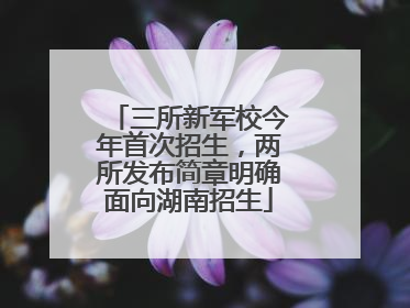 三所新军校今年首次招生，两所发布简章明确面向湖南招生