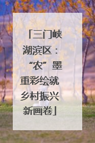 三门峡湖滨区：“农”墨重彩绘就乡村振兴新画卷