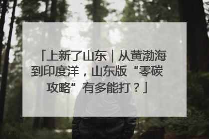 上新了山东｜从黄渤海到印度洋，山东版“零碳攻略”有多能打？