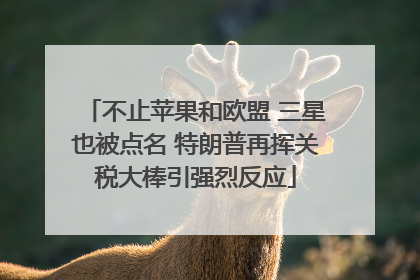 不止苹果和欧盟 三星也被点名 特朗普再挥关税大棒引强烈反应