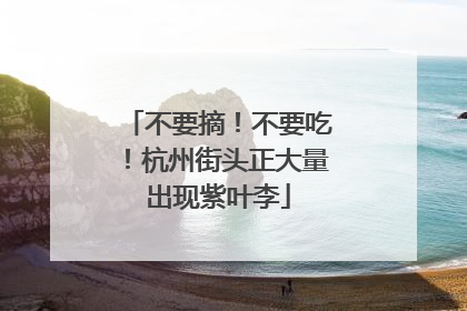 不要摘！不要吃！杭州街头正大量出现紫叶李