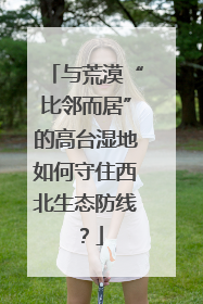 与荒漠“比邻而居”的高台湿地如何守住西北生态防线？