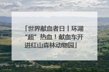 世界献血者日丨环湖“超”热血！献血车开进红山森林动物园