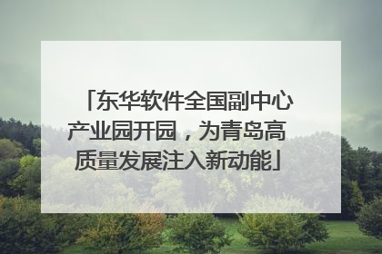 东华软件全国副中心产业园开园，为青岛高质量发展注入新动能