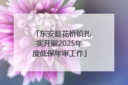 东安县花桥镇扎实开展2025年度低保年审工作