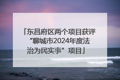 东昌府区两个项目获评“聊城市2024年度法治为民实事”项目