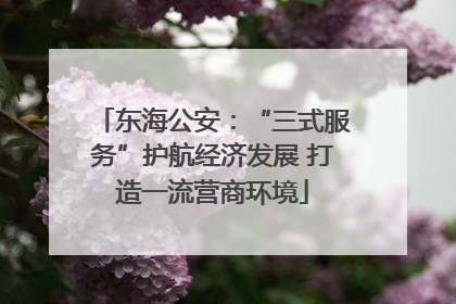 东海公安：“三式服务”护航经济发展 打造一流营商环境