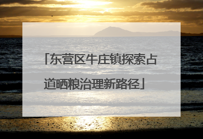 东营区牛庄镇探索占道晒粮治理新路径