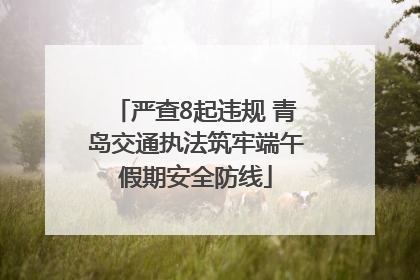 严查8起违规 青岛交通执法筑牢端午假期安全防线