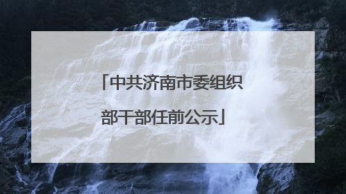 中共济南市委组织部干部任前公示