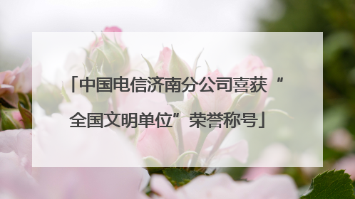 中国电信济南分公司喜获“全国文明单位”荣誉称号