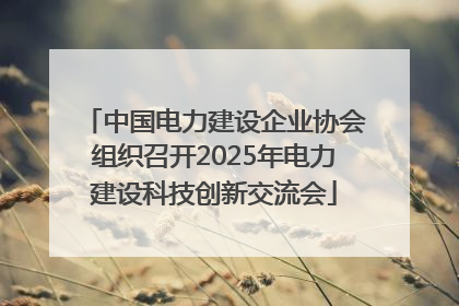 中国电力建设企业协会组织召开2025年电力建设科技创新交流会
