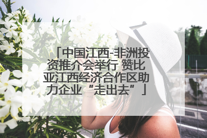 中国江西-非洲投资推介会举行 赞比亚江西经济合作区助力企业“走出去”