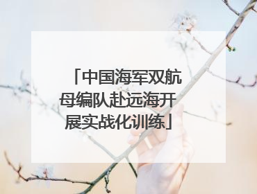 中国海军双航母编队赴远海开展实战化训练
