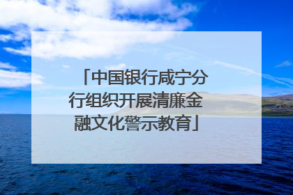 中国银行咸宁分行组织开展清廉金融文化警示教育