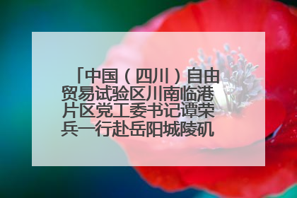 中国（四川）自由贸易试验区川南临港片区党工委书记谭荣兵一行赴岳阳城陵矶综保区考察