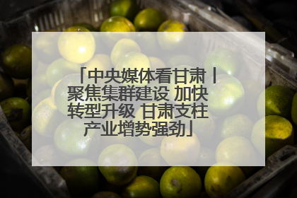 中央媒体看甘肃丨聚焦集群建设 加快转型升级 甘肃支柱产业增势强劲
