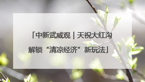 中新武威观｜天祝大红沟解锁“清凉经济”新玩法
