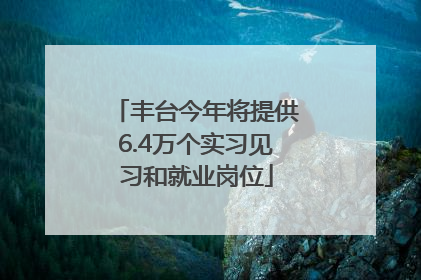 丰台今年将提供6.4万个实习见习和就业岗位