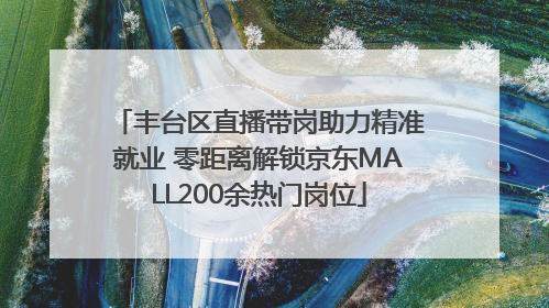丰台区直播带岗助力精准就业 零距离解锁京东MALL200余热门岗位