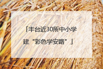 丰台近30所中小学建“彩色学安路”