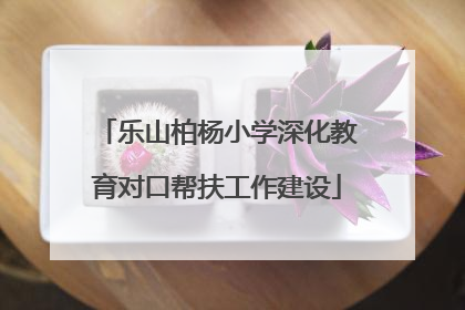 乐山柏杨小学深化教育对口帮扶工作建设