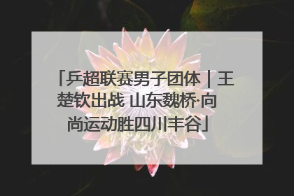 乒超联赛男子团体｜王楚钦出战 山东魏桥·向尚运动胜四川丰谷